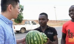 吃瓜人的后果,揭秘网络舆论的蝴蝶效应