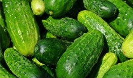 梦见吃邻居的瓜,揭秘吃邻居瓜的神秘寓意