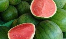 十岁的吃瓜,揭秘童言无忌中的趣味世界